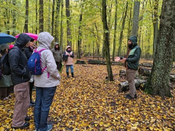 Relacja zdjęciowa z Dnia Grzyba 2025, 